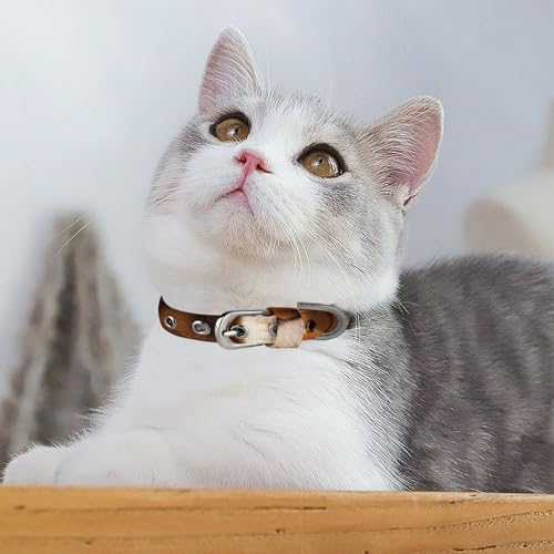 Collier réglable pour petit chien et chat idéal pour la promenade - 6