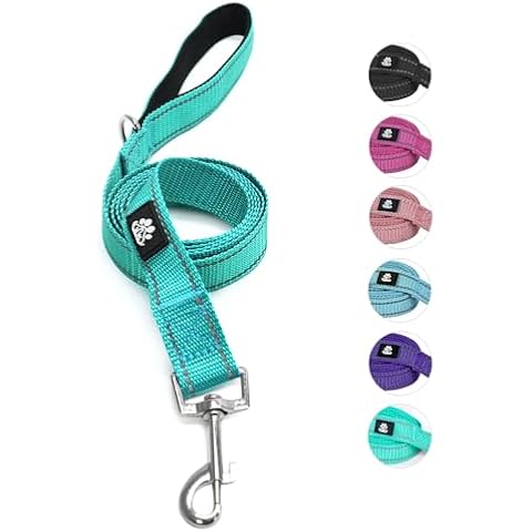 NESTROAD Reflective Dog Leash,Strong and Durable Nylon Dog Leash with Soft Padded Handle for Small Medium Large Dogs Walking,Training,Teal,5FT Cover