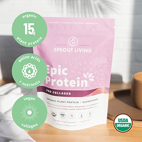 Sprout Living Epic Protein, Plant Based Protein & Superfoods Powder, Pro Collagen, Berry | 15 Grams Organic Protein Powder, Vegan, Non Dairy, Non-Gmo, Gluten Free, Low Sugar (0.7 Pound, 12 Servings) #TOP4