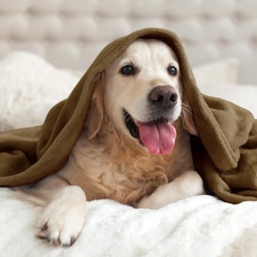 Image of BEDELITE Fleece Blanket Soft Lightweight & Warm Iced Coffee 60 inchx80 inch Throw