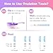 Easy@Home Ovulation & Pregnancy Test Kit: 50 Ovulation Test Strips + 3 Pregnancy Tests + 2 Collapsible Pee Cups - Accurate LH Surge Tracking & Early hCG Detection & Hygienic Home Use Urine Cup for TTC