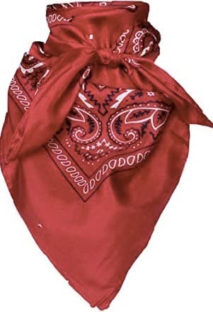 Wyoming Traders Bandana Print Cowboy Wild Rag 100% Silk Scarf Multiple Colors 34.5
