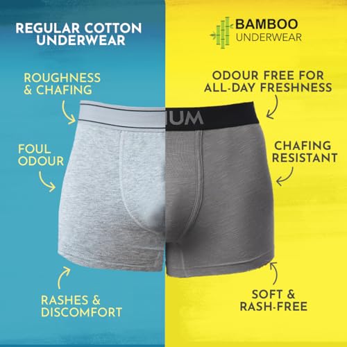 Image of HEELIUM Bamboo Underwear Trunk for Men | 3X Softer Than Cotton & Odour Free | Stretchy Fabric & Durable Waistband