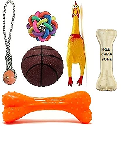 WOOFY Squeaky, Chew Teether Toys for Dog/Puppy - Flavoured Bone + Plastic Handle Ball + Squeaky Hen Big + Rainbow Ball (S) + Brown Base Ball - Combo of 5(Get One Chew Bone Free) (B09K7SPWTH) Amazon Price History, Amazon Price Tracker
