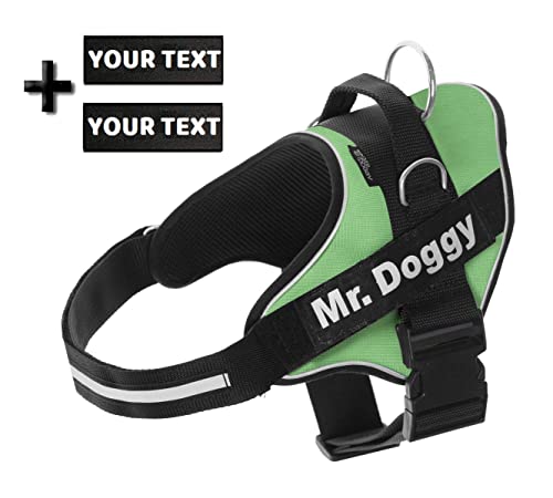 SUPER DOGGY Personalisiertes Hundegeschirr - Reflektierendes und sicheres Hundegeschirr - Enthält 2 Namensschilder, Klein, Mittel und Groß - Qualität und Beständigkeit (Verde, XS 3-7KG)