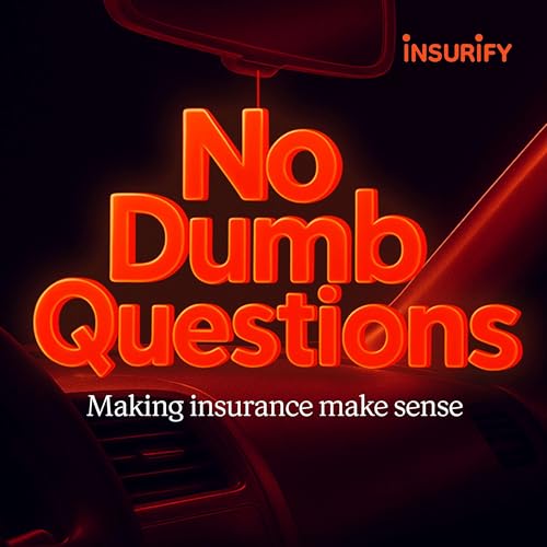 No Dumb Questions cover art