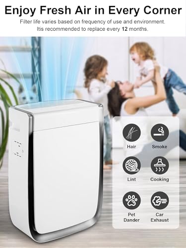 Image of 3000 Replacement Filters Compatible with Air Doctor 3000 & 3000M Air Purifiers, Includes 1 Main Filter, 2 Carbon Filters, 4 Pre-Filters, Comparable to ADF3001, ADF3002, ADF3003