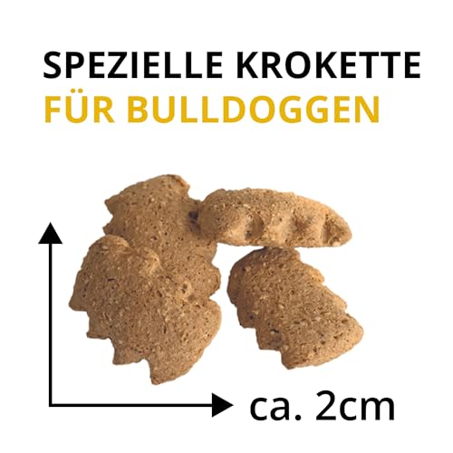 Wildsterne Breed Selection Französische Bulldogge 2,5 kg | Getreidefreies Trockenfutter | Monoprotein | von Tierärzten entwickelt