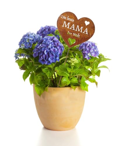 LB H&F Rostherz Muttertag Muttertagsgeschenk Geburtstag Gartenstecker Blumenstecker Geschenk Mutter Gartenfigur Herz - Die Beste Mama der Welt - 33cm (Mama)