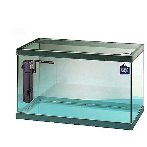 Acuario Cristal con Marco Negro 11 L. + Filtro P.30