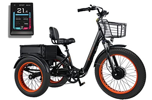 Perraro Panda Electric Tricycle