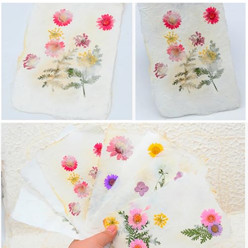 Kit fabrication papier fleurs séchées et herbiers créatifs