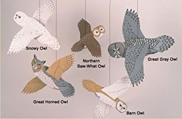 Owls Mobile