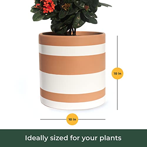 Bees & Buds 10 Inch Stripe Plant Pot - Stripe Planters For Indoor Plants - Terracotta Clay Planter Pots With Drainage - Mid Century Modern Large Flower Holder #TOP3
