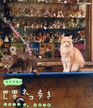 Amazon.co.jp: 岩合光昭の世界ネコ歩き ソレントとカプリ島