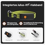 Weenect Hund XT - NEUES GPS-Halsband für Hunde | XL-Antenne | Wasserdicht | Hyperresistentes integriertes Julius-K9 Halsband Gelb Abonnement erforderlich