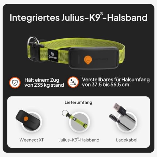 Weenect Hund XT - NEUES GPS-Halsband für Hunde | XL-Antenne | Wasserdicht | Hyperresistentes integriertes Julius-K9 Halsband Gelb Abonnement erforderlich