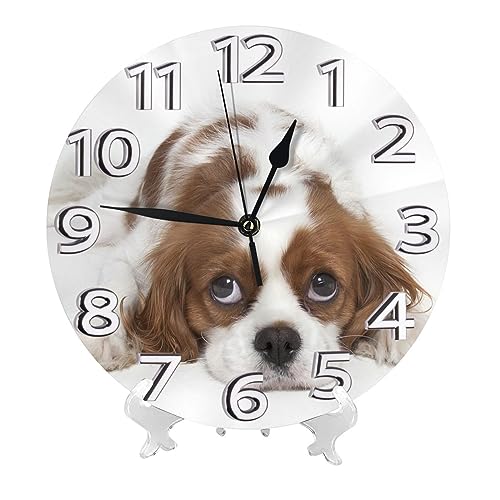 横になってるキャバリア スパニエル犬 掛け時計 おしゃれ 北欧 壁掛け時計 静音 自宅 寝室 部屋飾り 贈り物 インテリア 大数字 直径25cm 非電波 キャラクター かわいい プレゼント