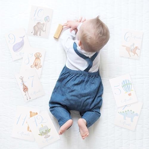 Baby First Holiday Cards - First Year Cards,Monthly Milestone Baby Shower,Milestone Monthly Holiday Photo,Photo Props (blue)