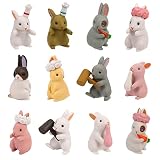 Lista de Paquetes: Viene con 12Pcs mini figuras de conejo juguetes con diferente estilo. Una cantidad adecuada y un aspecto lindo, estas figuras de mini conejos pueden satisfacer sus diversas necesidades
