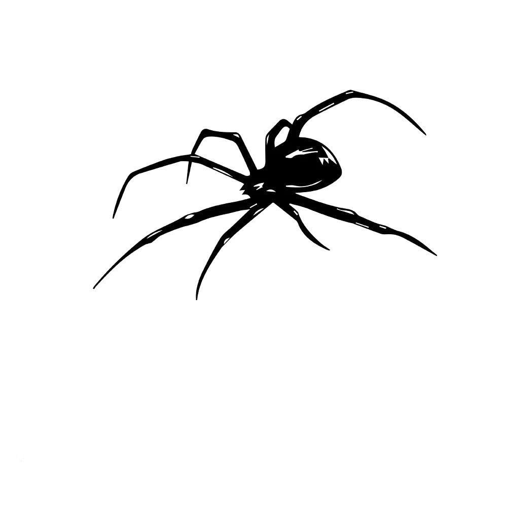 Car Body Spider Vinyl Wrap Window Bumper Truck Decal(Black,XL 42cmX18cm)