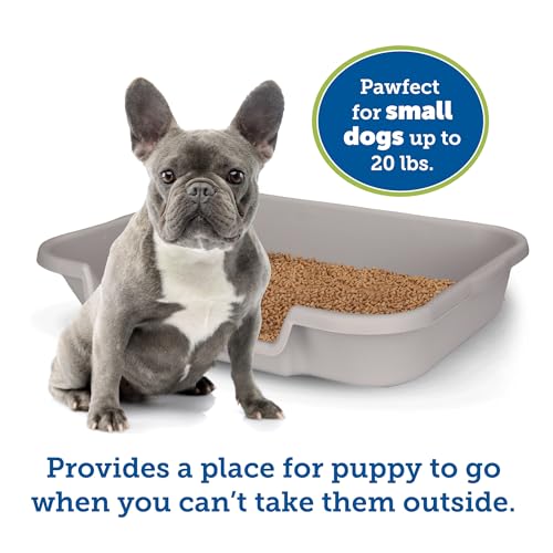 PuppyGoHere Dog Litter Box, Large Size, Misty Gray, Durable & Pet Safe, Indoor Open Top Entry Litter Pan, Comfortable for Puppy, Great for Dogs up to 20 lbs - Thumbnail 5