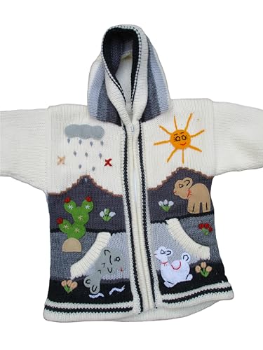 Image of Kids Sweater Handmade Cardigan with Embroidered Details Sweater Hooded Girl Boy Peru Ecuador Bolivia Chile Arpilleras Style.