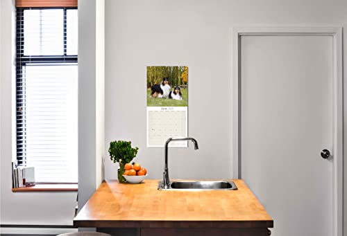 2022 2023 Collie Calendar - Dog Breed Monthly Wall Calendar - 12 X 24 Open - Thick No-Bleed Paper - Giftable - Academic Teacher's Planner Calendar Organizing & Planning - Made In Usa #TOP5