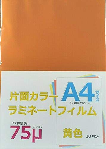 ~l[gtB J[ A4 75~N    20 ()