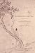 Disgraceful Matters: The Politics of Chastity in Eighteenth-Century China