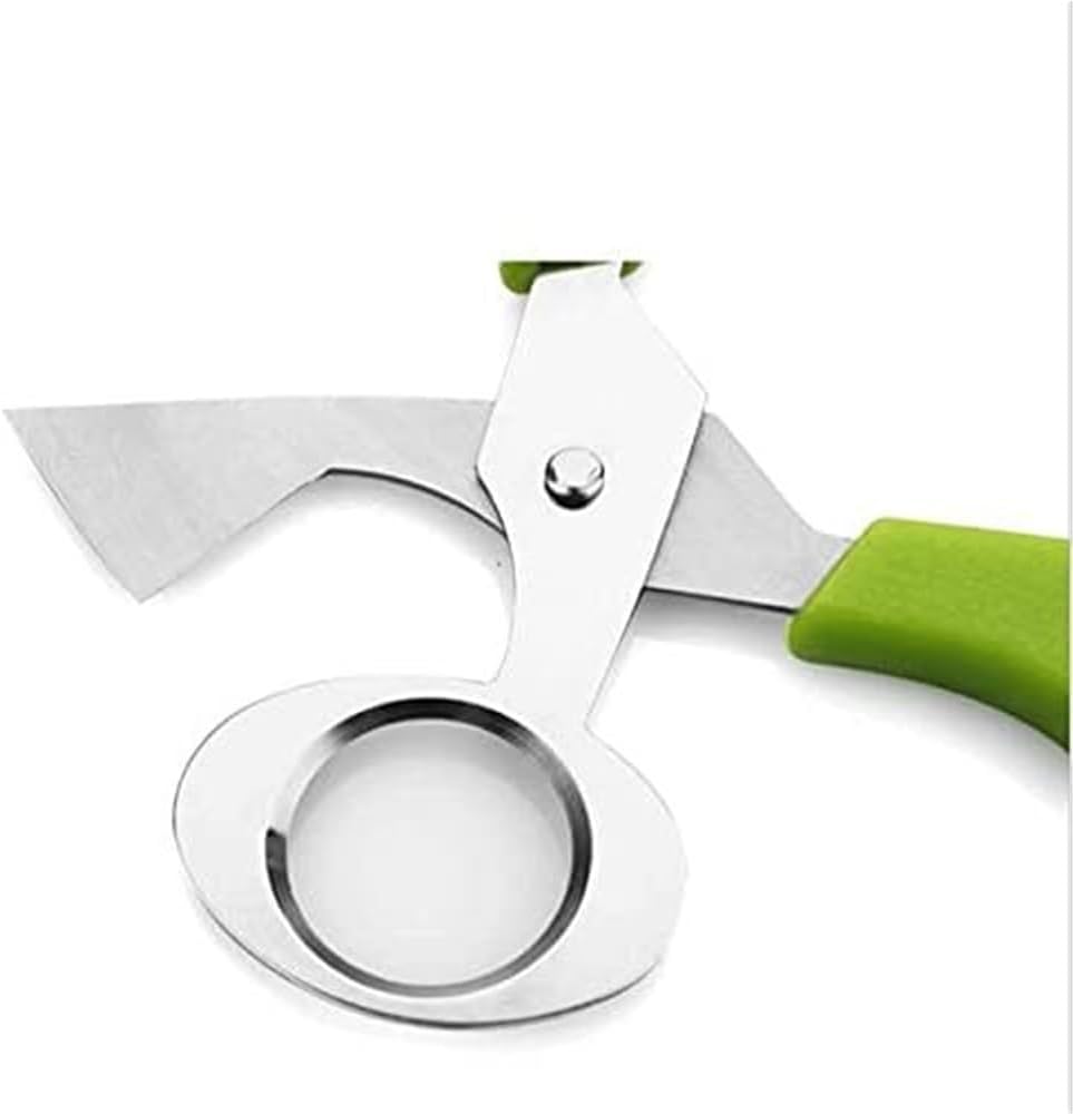 Kitchen Scissors, 1 Piece; Quail Eggshell Opener; Cigar Cutter; Stainless Steel Tools.