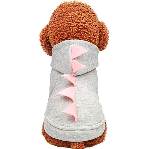 KJOET  p[J[ 傤イ fBmTEX  ʔ hbOEFA g Xqt RX`[ ̕  H ~ H~ Hp ~p nEB  RXv `[ Cxg 2F (XL, O[)