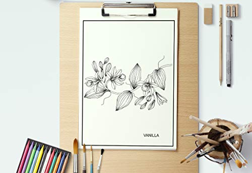 Botanical Coloring Book for Adults: Flowers and Plants Coloring Pages: 1