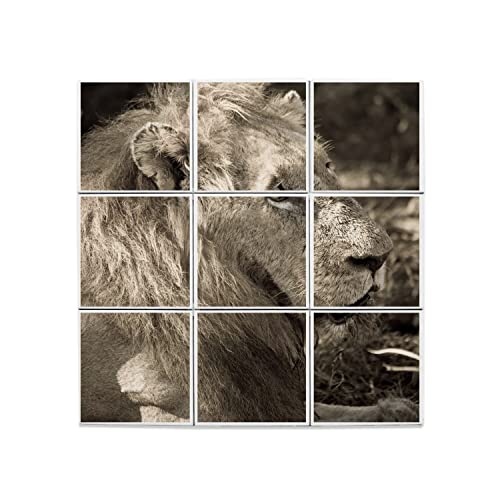 Carreaux céramique décoratifs lion pour une ambiance nature chaleureuse