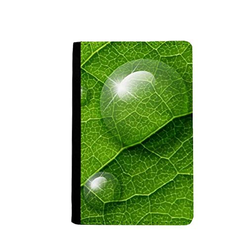 Portefeuille de voyage passeport vert protège vos documents de l'usure