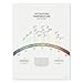 Activation Temperature Illustration: Terpene & Cannabinoid Boiling Point Art Print, Marijuana Vaporization Temperature Chart, Medical Cannabis Poster by Goldleaf (18x24)