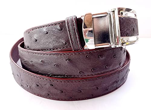 Julie Genuine Real Ostrich Skin Leather Meninchs Dark Brown Belt 33-48inch Black big3