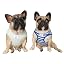 Classic Stripe White Blue Green 2pcs