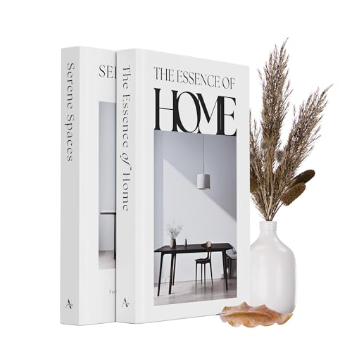 Areila Decorative Books – Set of 2 Fake Books with