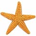 Safari Ltd Wild Safari Sea Life Starfish