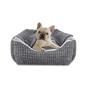 JOEJOY Hundebett Kleine Hunde, Hundekorb mit Herausnehmbar Decke, Hundebetten Cord Flauschiges Waschbar, rutschfest Hundekörbchen, Hundesofa mit Hohem Rand Passt bis zu 9kg Haustiere(51x48x15cm)