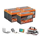 Enjoybot 60V 100Ah LiFePO4 Lithium Golf Cart Battery Conversion Kit - 5 X 12V 100Ah Group 31 LiFePO4 Battery, Built-in 100A BMS with Low Temp Cut-Off Function, Peak Current of 400A for 60V Golf Cart