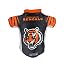 Cincinnati Bengals