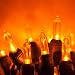 50 T5 LED Orange Mini Lights, 25.5' Holiday Lights Halloween Lights Party Halloween Decorations Outdoor Christmas String Lights
