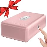 Boîte de rangement biométrique à empreinte digitale, Coffre-fort portable pour bijoux et argent liquide, boîte de verrouillage rechargeable pour la voiture, la maison, le bureau, le voyage(Rose)