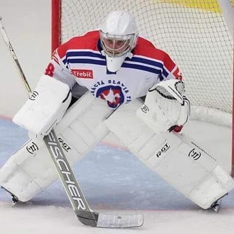 image for Fischer GF750 Adult Hockey Goalie Stick - Senior | Foam Injected, Carb