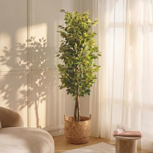 Blaine - Planta Artificial Ficus 230 cm