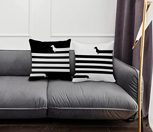 Funny Dog Themed 18’’X18’’Set Of 2 (Very) Long Dog Funny Dachshund Black And White Decorative Throw Pillow Case,Dog Lovers House Home Bedroom Living Room Sofa Couch Bed Decor,Gifts For Dog Lovers #TOP1