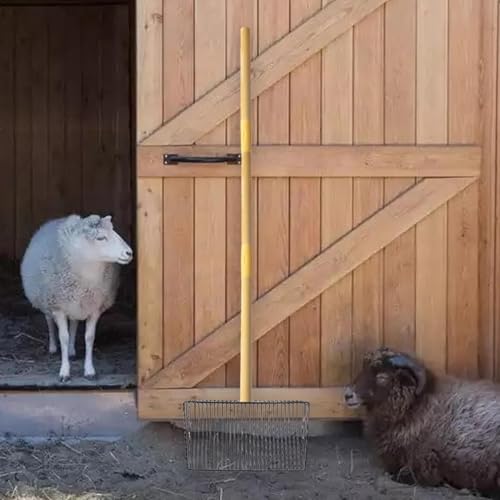 Fovolat Scooper de cocô de frango, Scooper de galinheiro | Pá peneiradora de cocô de frango de metal