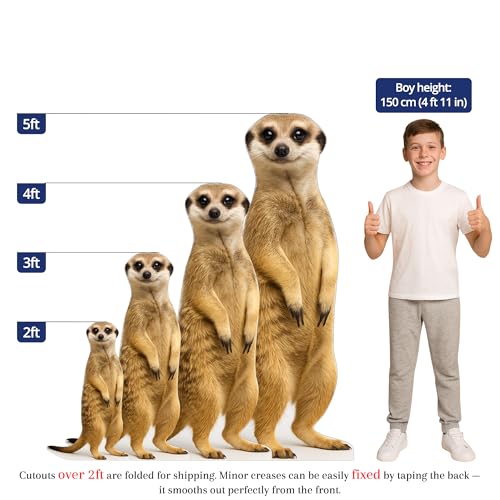 Image of Meerkat 2FT Life Size Cardboard Cutout - A Fun Animal Standup for Photo Booths, Birthday Parties, and Events